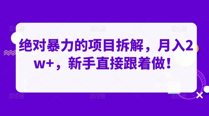 绝对暴力的项目拆解，月入 2w+，新手直接跟着做【揭秘】-Duo