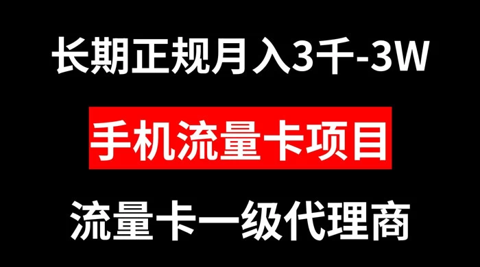 手机流量卡代理月入 3000-3w 长期正规项目-Duo