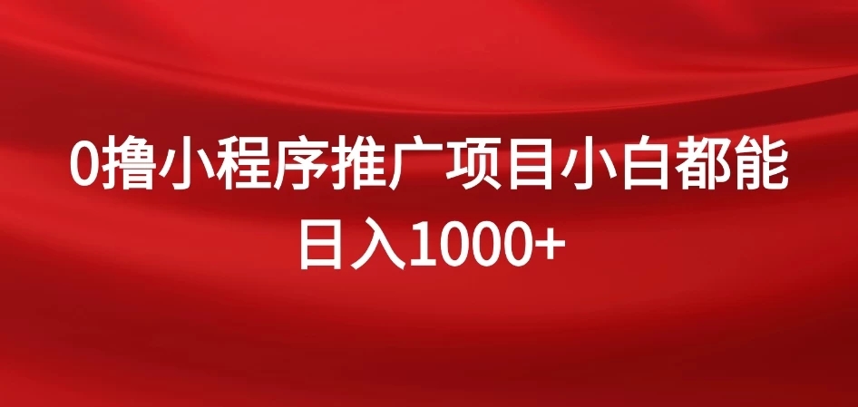 0撸小程序推广项目，日入四位数，零基础小白也能做-Duo