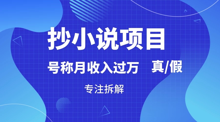 抄小说项目，号称月入过万，到底是否真实，能不能做，详细拆解-Duo