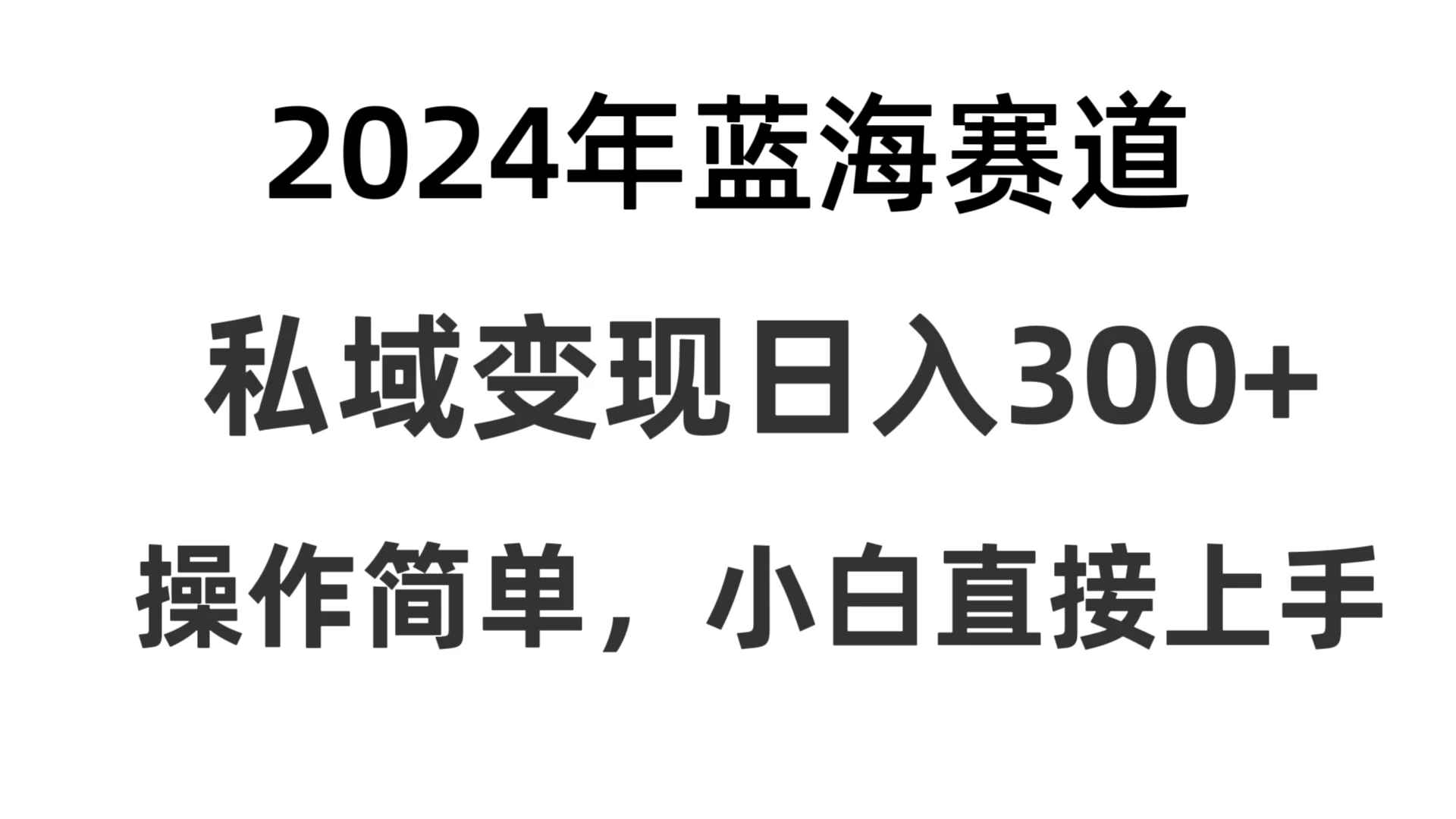 2024抖音蓝海赛道，私域变现日入300+，操作简单，每年只需一小时，纯小白可直接上手-Duo