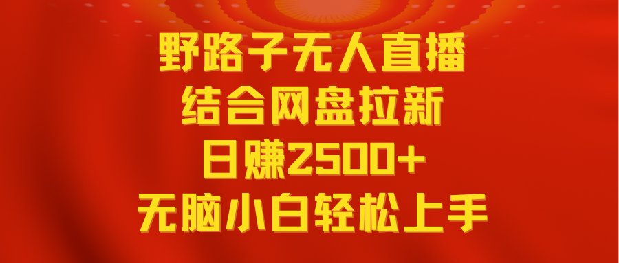 无人直播野路子结合网盘拉新，日赚2500+多平台变现，小白无脑轻松上手操作-Duo