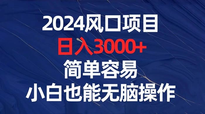 2024 风口项目，日入 3000+，简单容易，小白也能无脑操作-Duo